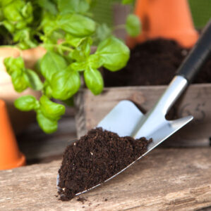 Sow It Forward: Garden Grants Promote Sharing Image